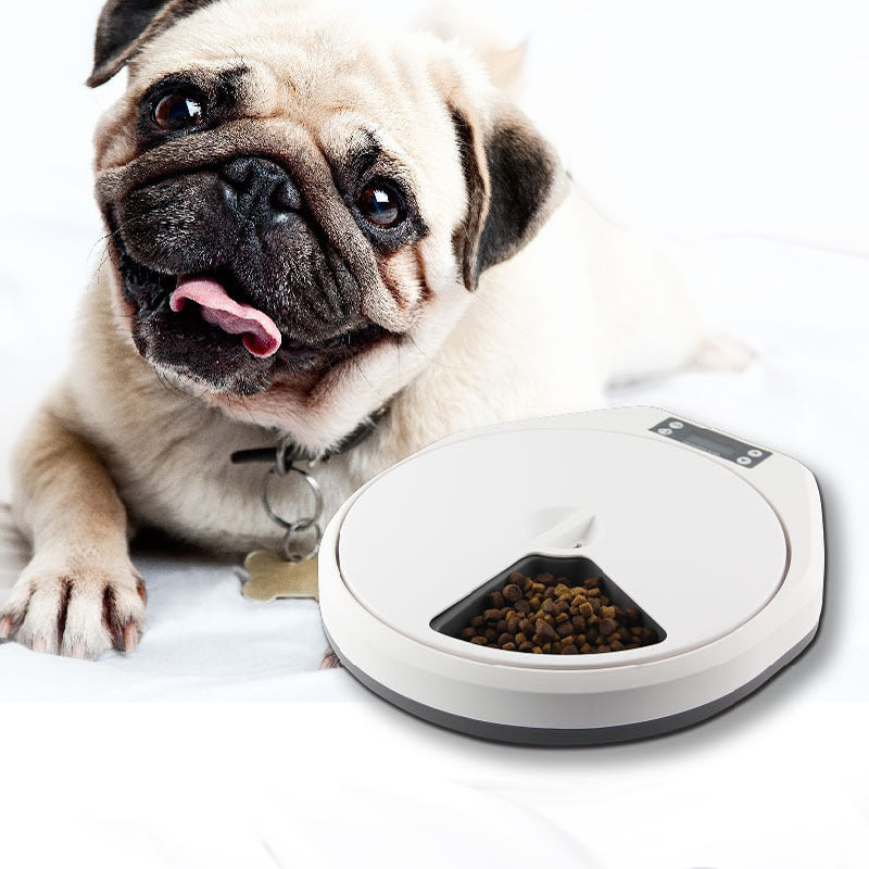 Automatic Multi-Grid Smart Pet Feeder